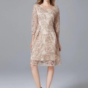 Spring Summer Dress Plus Size Champagne Ladies Casual Lace A-Line Vestido
